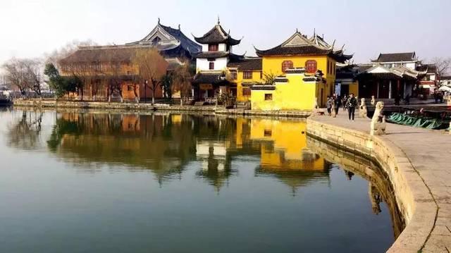 专注领域,尽在怀孕不能吃什么东西怎么办问答社区